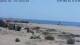Isla Canela 26.07.2026 13:13