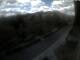 Schierke 08.05.2025 13:04