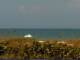 Cape Canaveral, Florida 14.06.2025 13:47