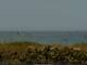Cape Canaveral, Florida 08.07.2025 13:47