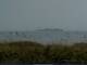 Cape Canaveral, Florida 03.07.2025 13:47