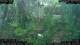 Nakhon Ratchasima (Korat) 05.07.2025 13:47