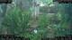 Nakhon Ratchasima (Korat) 10.05.2025 13:47