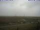 Hallig Hooge 08.06.2025 13:47
