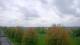 Shorewood, Illinois 29.04.2025 13:27