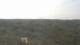 Moliets-et-Maa 08.06.2025 13:06
