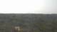 Moliets-et-Maa 09.06.2025 13:06