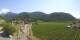 Aigle 05.07.2025 13:51