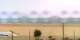 Saint-Georges-de-Didonne 06.07.2025 13:07