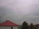 Billigheim-Allfeld 15.06.2025 13:47