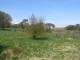 Dartmoor 30.04.2025 13:47