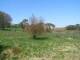 Dartmoor 29.04.2025 13:47