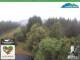 Oberweißbach 02.07.2025 13:07