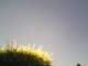 Burgstetten 30.04.2025 13:08