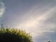 Burgstetten 05.07.2025 13:07