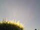 Burgstetten 29.04.2025 13:08