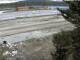 McGrath, Alaska 14.06.2025 13:48