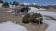 Les Angles 29.04.2025 13:08