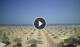 Rimini 14.06.2025 13:08