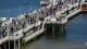 Sopot 30.04.2025 13:09