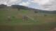 Czarna Góra 15.07.2025 13:19
