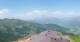 Maria Alm 15.06.2025 13:09