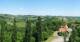 Glanz an der Weinstraße 23.05.2025 13:10