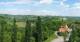Glanz an der Weinstraße 10.05.2025 13:10