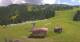 Rohrberg 24.06.2025 13:10