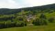 Zieleniec 11.05.2025 13:10
