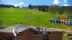 Zieleniec 30.04.2025 13:10