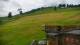 Zieleniec 08.06.2025 13:10