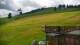 Zieleniec 09.06.2025 13:10