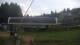 Zieleniec 30.04.2025 13:10