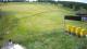 Zieleniec 09.06.2025 13:10