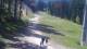 Karpacz 29.04.2025 13:10
