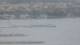 Balaruc-les-Bains 29.04.2025 13:11