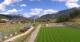 Seefeld in Tirol 30.04.2025 13:11