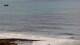 Ericeira 30.04.2025 13:54