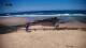 Aljezur 30.04.2025 13:21