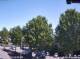 Julianadorp 19.04.2025 13:11