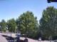 Julianadorp 10.05.2025 13:11