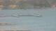 Balaruc-les-Bains 30.04.2025 13:11