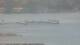 Balaruc-les-Bains 03.07.2025 13:11