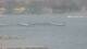 Balaruc-les-Bains 29.04.2025 13:11