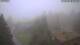 Zinnwald-Georgenfeld 02.07.2025 13:48