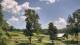 Davidsonville, Maryland 03.07.2025 13:32
