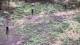 Milford, Ohio 16.05.2025 13:32