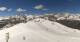Chamois 30.04.2025 13:12