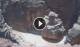 Petra 02.07.2025 13:11